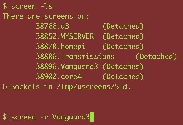 screen -r // Using screen to handle disconnected ssh sessions